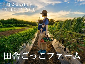 株式会社コンサント(田舎ごっこファーム)-top
