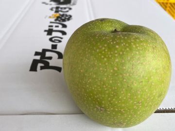 アウーの梨の学校-4