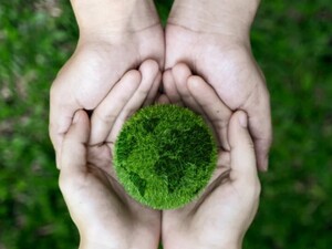 東京都×植物の生産・栽培管理責任者候補(創業メンバー)/法人【44033】-top