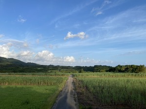 株式会社touki-top
