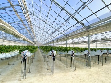 ＠farm(三共木工株式会社)-4