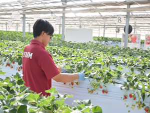 ＠farm(三共木工株式会社)-top