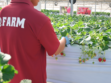 ＠farm(三共木工株式会社)-3