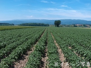 株式会社北海道グリーンパートナー-top