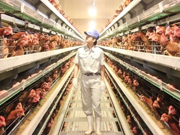 愛媛飼料産業株式会社(ビージョイグループ)-1