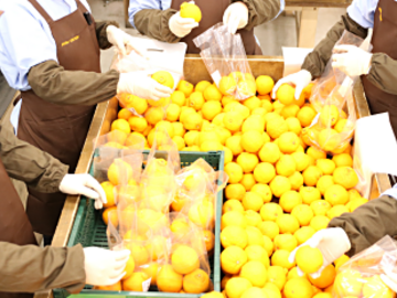 東京都大田区×商品管理/法人【44044】-2