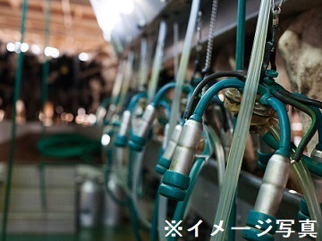 北海道遠軽町×酪農/法人【44052】-1