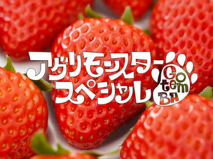 アグリモンスタースペシャル-top