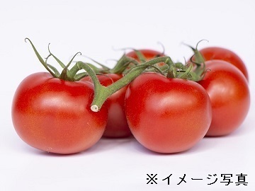 福島県南相馬市×生産統括責任者/法人【44064】-1