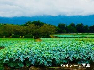 左部 仁庸-top