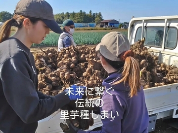狭山茶と旬野菜の本橋園-7