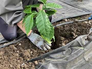 株式会社ミツウロコアグリ-3