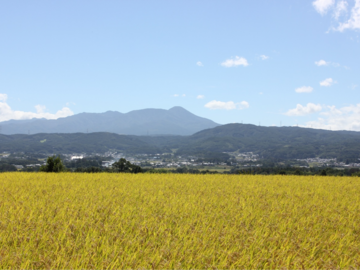 笹屋農園-1
