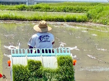 株式会社ツバメファーム-5