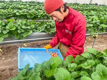 株式会社ツバメファーム-3