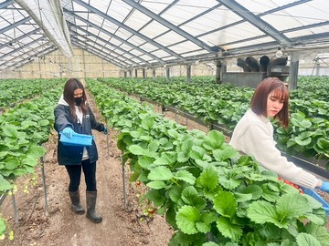 株式会社ツバメファーム-2