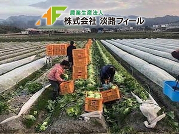 農業生産法人 株式会社淡路フィール-top