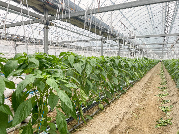 株式会社暖-3