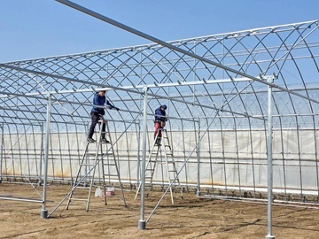 株式会社F.U.KAGAWA(Flower Union in KAGAWA)-6