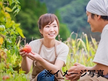 千葉県柏市×農福連携/法人【44094】-2