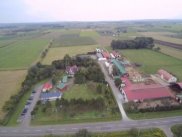 有限会社細田牧場-1
