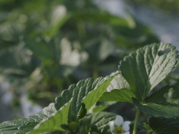 株式会社あにゃい-8