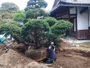 村上造園-8