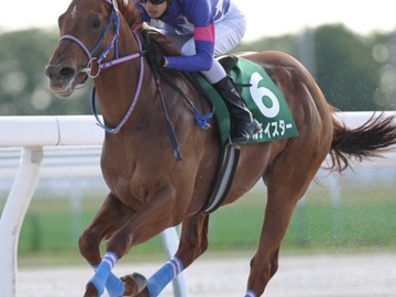 ホッカイドウ競馬角川秀樹厩舎-2