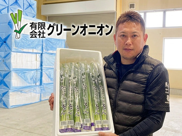 有限会社グリーンオニオン-top
