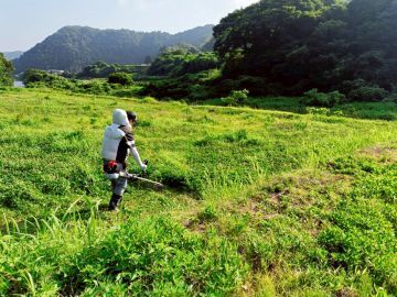 株式会社Susanoh Beyond Farm-top