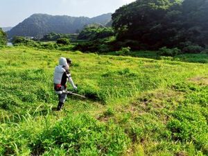 株式会社Susanoh Beyond Farm-top