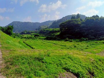 株式会社Susanoh Beyond Farm-1