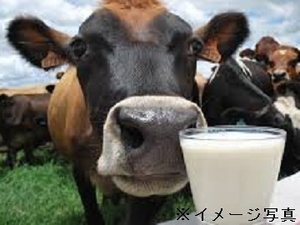 南渡島酪農ヘルパー利用組合-top