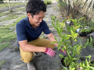 有限会社飯尾園芸-top