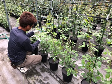 株式会社矢合農園-8