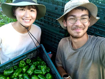 株式会社TERRA FARMERS-3