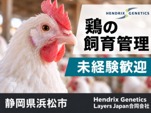 Hendrix Genetics Layers Japan合同会社-top