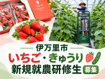 佐賀県伊万里市 園芸団地運営協議会 農業研修生募集-top