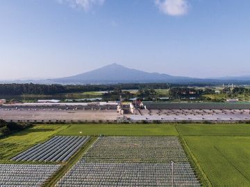 株式会社木村牧場-1