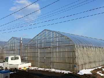 福島県須賀川市×野菜/法人【2458】-1