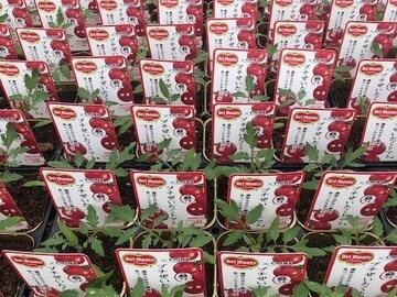 日本デルモンテアグリ株式会社-5