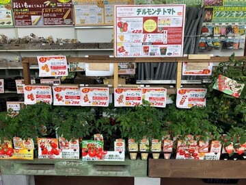 日本デルモンテアグリ株式会社-8