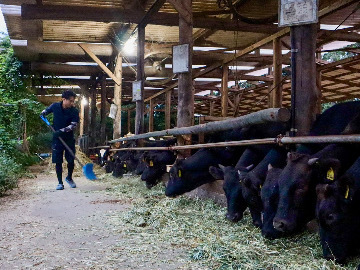 株式会社いたさか牧場-1