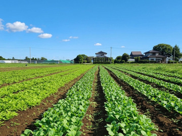 株式会社TERRA FARMERS-6