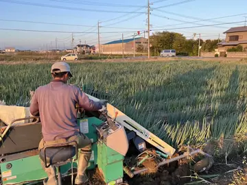後藤農園(磐田市)-3