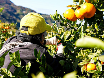 株式会社Sun Farm Hotta-4