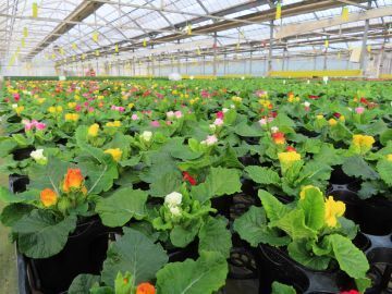株式会社花の海-2