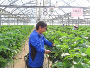 株式会社花の海-4