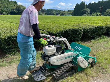 ヘンタ製茶有限会社-6
