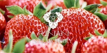 株式会社Farm大越